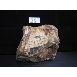 Fossiles versteinertes Holz Nr. 28